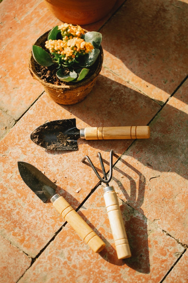Top 8 Most Valuable Tools You’ll Actually Use As A Gardening Beginner