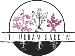 Lil Urban Garden